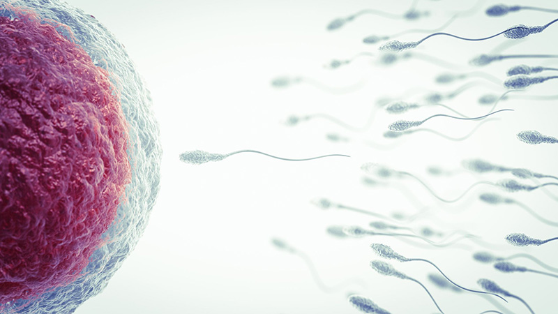 bom-tinh-trung Bơm tinh trùng