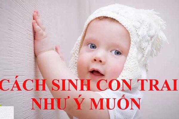 Cách tính chu kỳ rụng trứng để sinh con trai