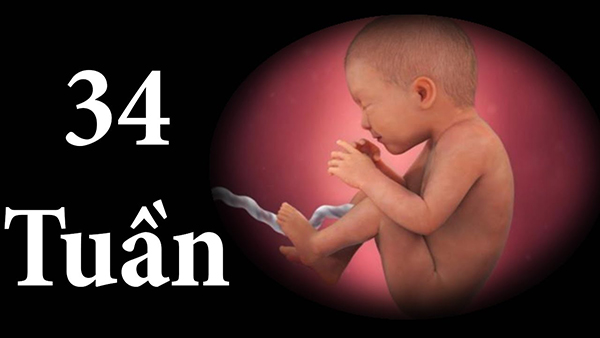 Cân nặng thai nhi 34 tuần
