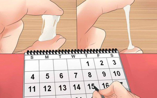 Dấu hiệu ngày rụng trứng