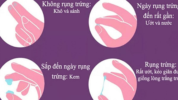 dau-hieu-nhan-biet-ngay-rung-trung Dấu hiệu nhận biết ngày rụng trứng