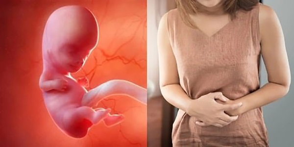 dau-hieu-nhan-biet-thai-luu Dấu hiệu nhận biết thai lưu