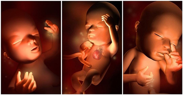 dau-hieu-thai-nhi-khoe-manh-3-thang-giua Dấu hiệu thai nhi khỏe mạnh 3 tháng giữa