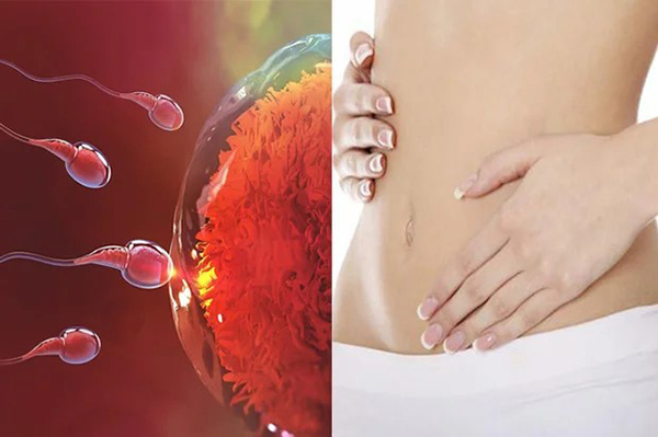 Dấu hiệu thai vào tử cung