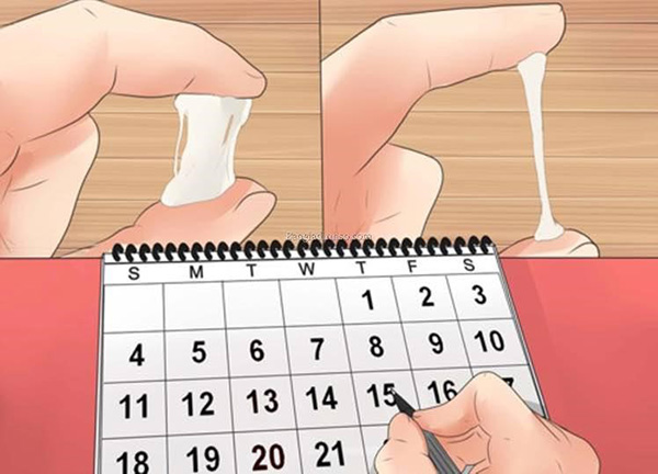 Theo dõi dịch nhầy tử cung