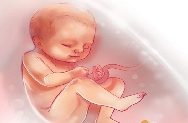 Đường kính lưỡng đỉnh thai 38 tuần