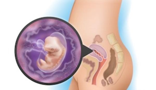 Lời khuyên cho mẹ bầu