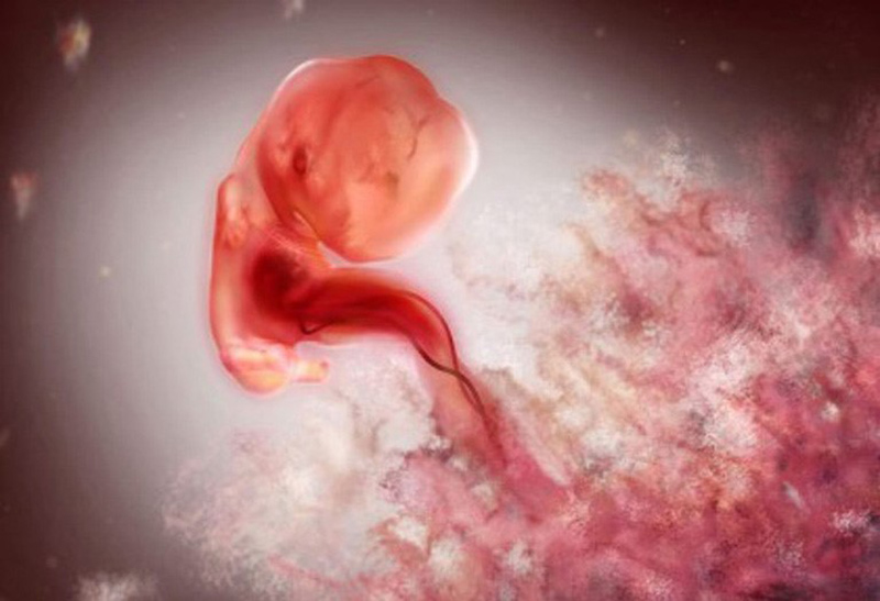 may-tuan-thai-vao-tu-cung Thai vào tử cung