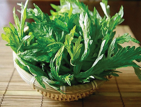 ngai-cuu1 Ngãi cứu