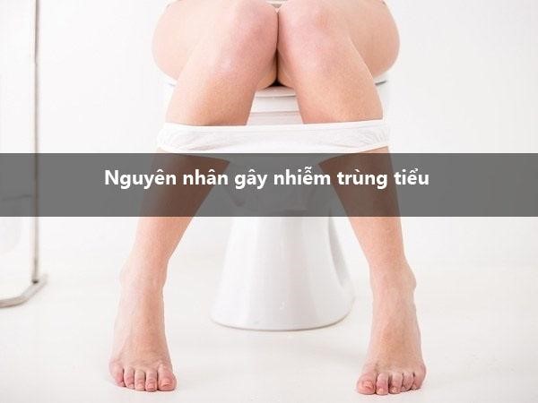Nguyên nhân gây nhiễm trùng tiểu
