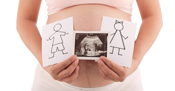 nhip-tim-thai-170-la-trai-hay-gai Nhịp tim thai 170 là trai hay gái