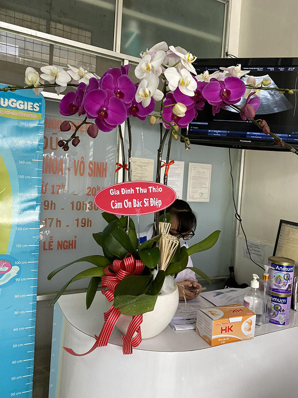 phong-kham-san-phu-khoa-bac-si-deip Phòng khám sản phụ khoa Bác Sĩ Điệp