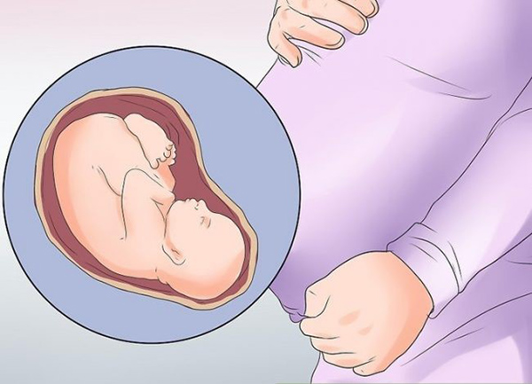 Trên đây là hình ảnh về thai nhi có dáng nằm chuẩn, đầu chúc xuống và mông hướng lên