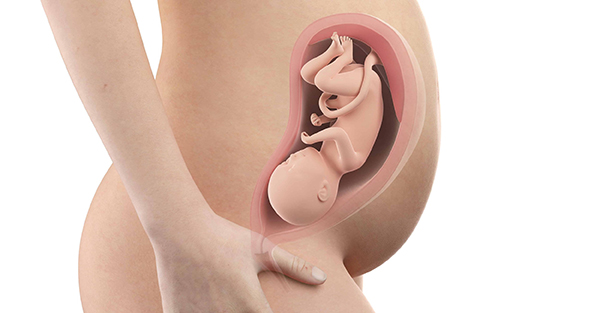 Thai nhi thang thứ 7