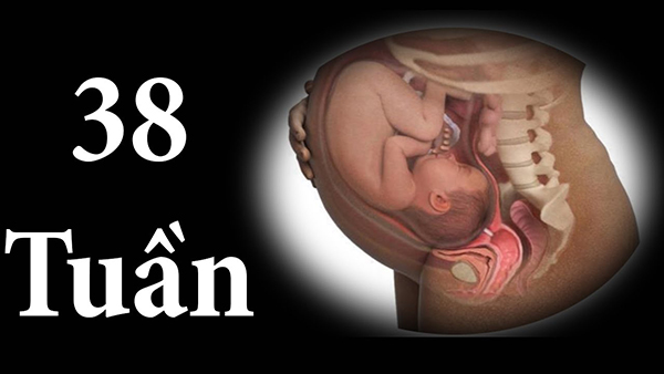thai-nhi-tuan-38 Thai nhi tuần 38