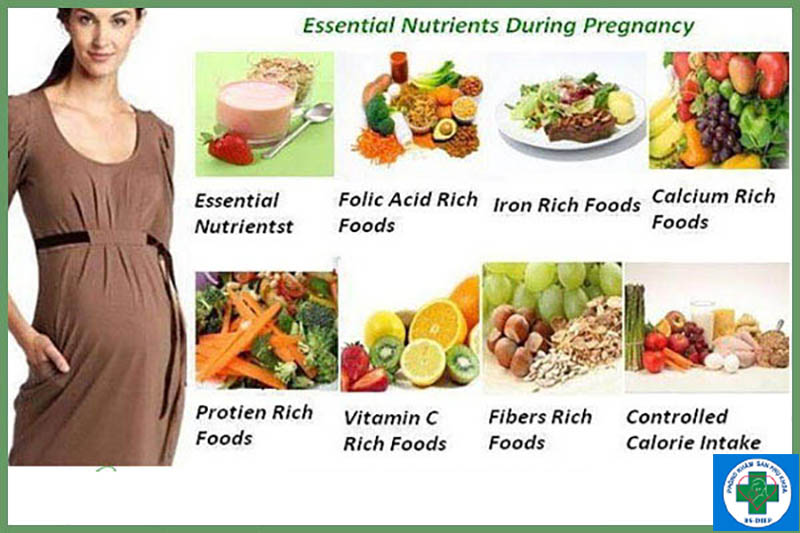 Thực phẩm tốt cho mẹ bầu