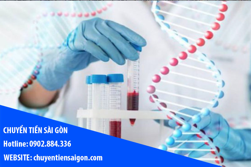 Xét nghiệm NIT phát hiện nguy cơ